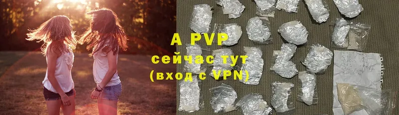 A PVP СК  Билибино 